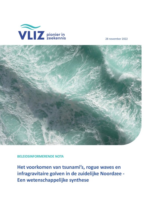 Het voorkomen van tsunami’s, rogue waves en infragravitaire golven in de zuidelijke Noordzee - Een wetenschappelijke synthese