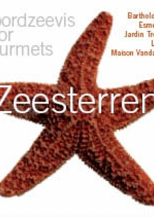 Zeesterren: Noordzeevis voor gourmets